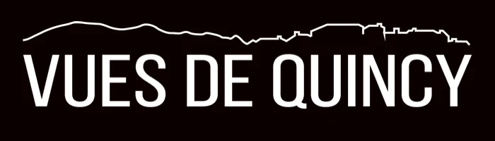 Vues De Quincy logo